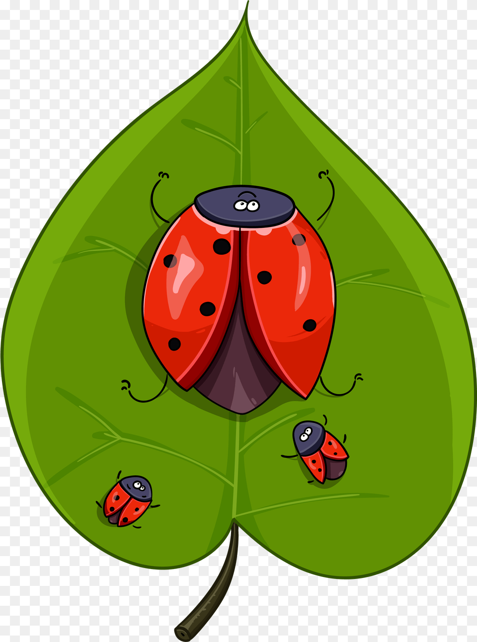 Sheet Beetle Ladybug Insect Red Nature Leaves Ladybird Beetle, Leaf, Plant, Animal Png Image