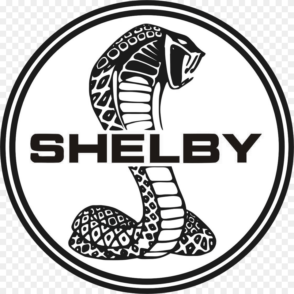 Shelby Transparent Shelby Images, Animal, Mammal, Reptile, Wildlife Png