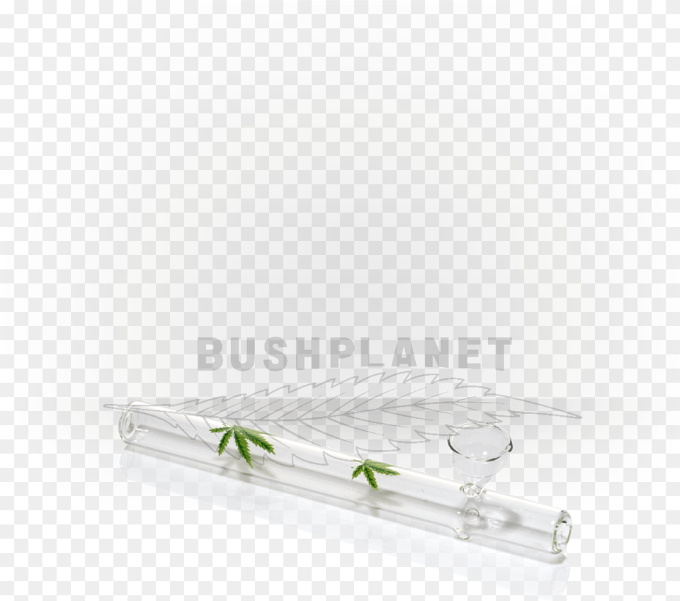 Shelf, Adult, Bride, Female, Person Free Png