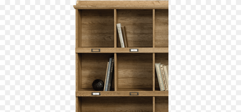 Shelf, Book, Furniture, Publication, Bookcase Free Png Download