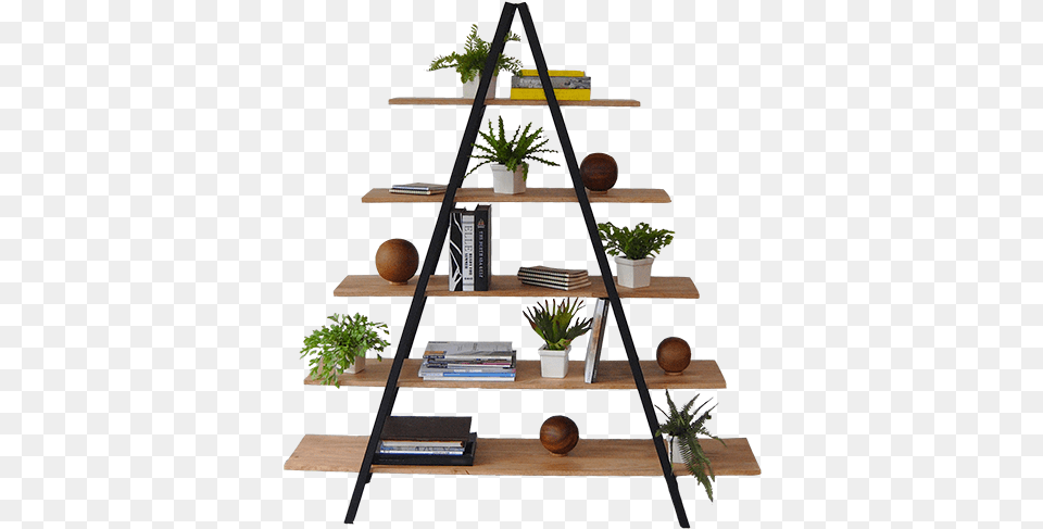 Shelf, Wood, Plant, Furniture, Bookcase Png Image