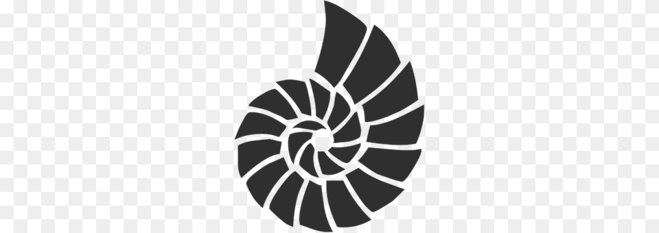 Shell Spiral, Coil, Machine, Person Free Png