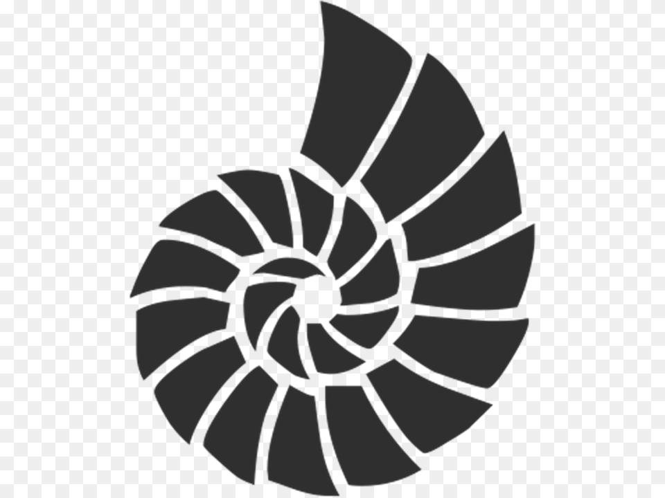 Shell Spiral, Coil, Ammunition, Grenade Free Png