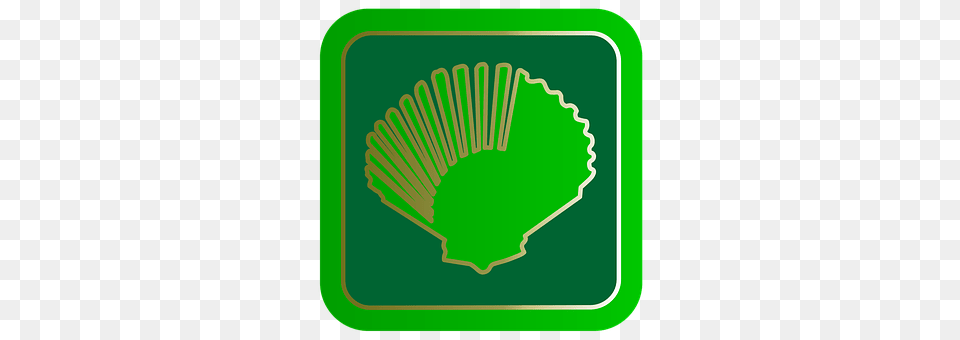 Shell Green, Person, Sport, Badminton Free Transparent Png