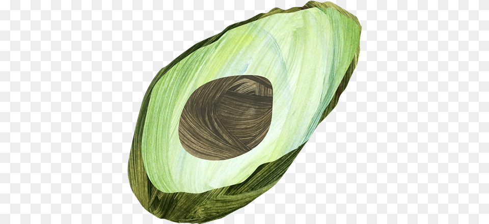 Shell, Food, Produce, Fruit, Plant Free Png