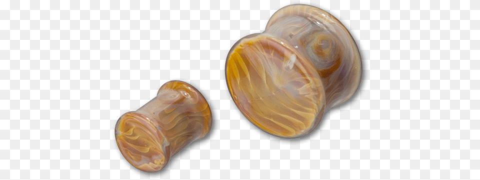 Shell, Accessories, Gemstone, Jewelry, Ornament Png