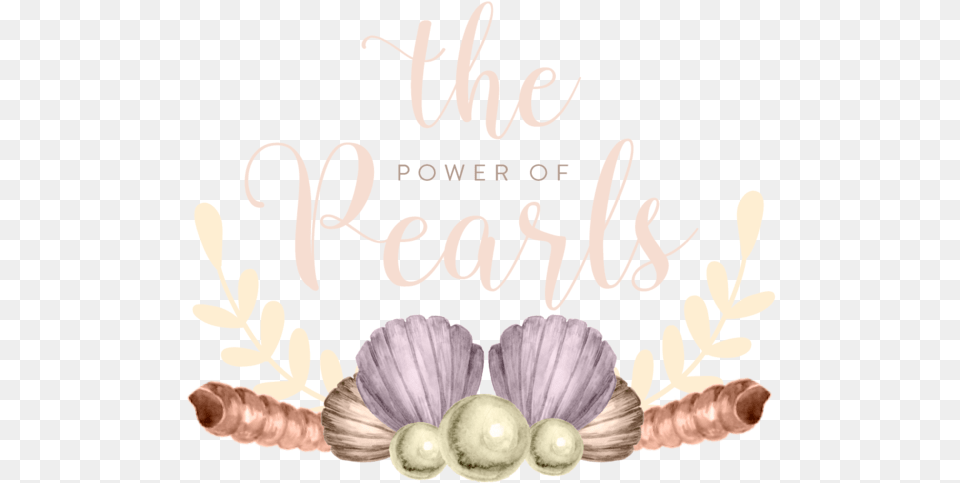 Shell, Accessories, Jewelry, Chandelier, Lamp Free Png