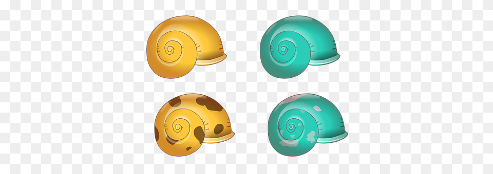 Shell Spiral, Animal, Invertebrate, Snail Free Png