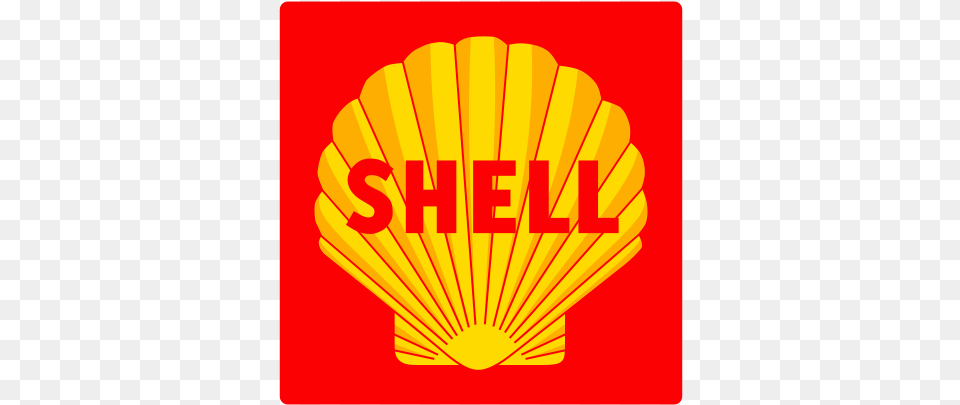 Shell, Dynamite, Weapon, Animal, Invertebrate Free Png Download