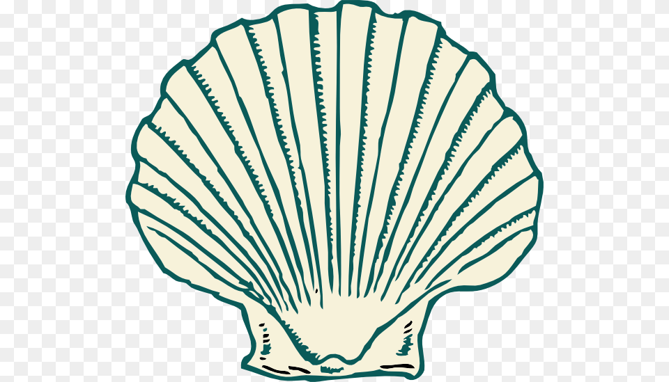 Shell Clip Art, Animal, Clam, Food, Invertebrate Free Png