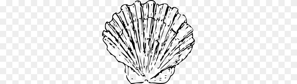 Shell Clip Art, Animal, Clam, Food, Invertebrate Png Image