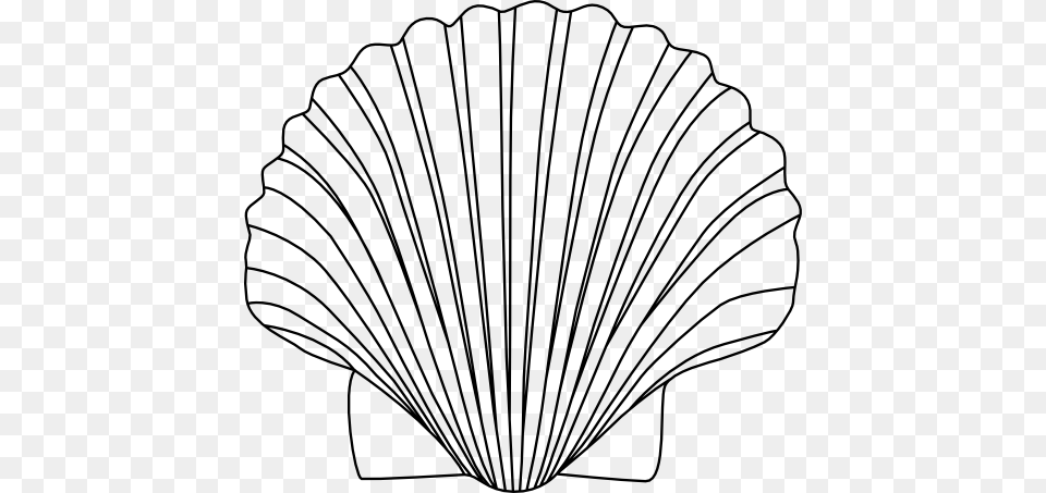 Shell Clipart, Animal, Clam, Food, Invertebrate Free Png