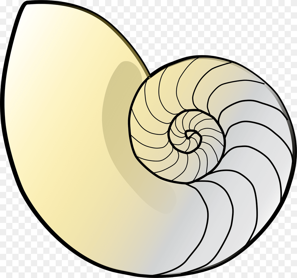 Shell Clipart, Animal, Clam, Food, Invertebrate Png Image