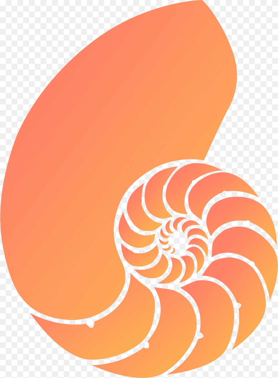Shell Clipart, Spiral, Seashell, Sea Life, Animal Free Png Download