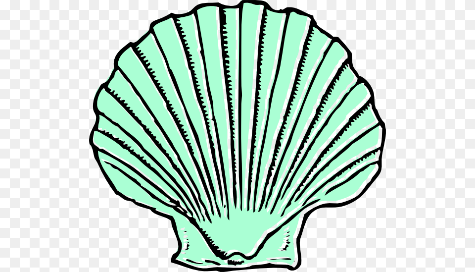 Shell Clipart, Animal, Clam, Food, Invertebrate Free Transparent Png