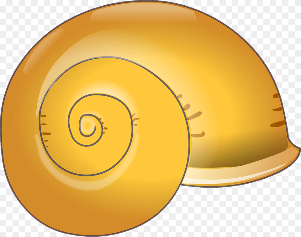 Shell Clipart, Disk, Animal, Invertebrate, Snail Png Image