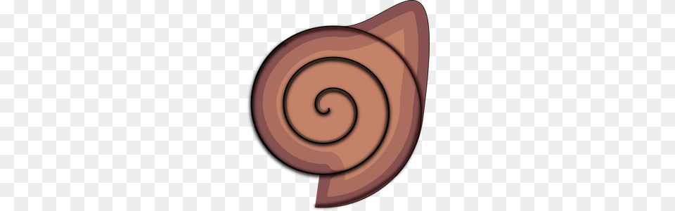 Shell Clipart, Spiral, Body Part, Ear, Disk Free Png