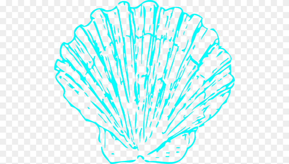Shell Clipart Aqua Pencil And In Color Shell Clipart Seashell Clipart Blue, Animal, Clam, Food, Invertebrate Png