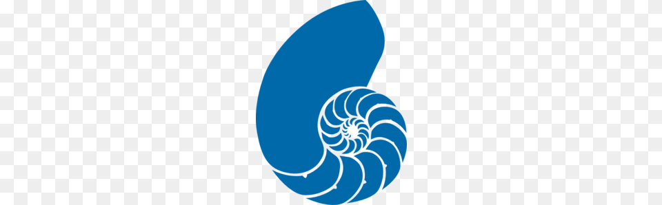 Shell Clipart Blue Sea, Person, Animal, Invertebrate, Sea Life Png Image