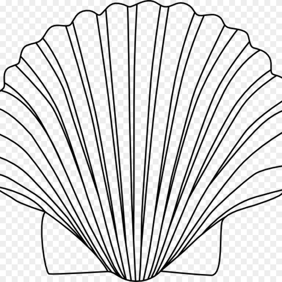 Shell Clipart Clipart Gray Free Png Download