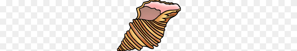 Shell Clipart Shell Clip Art Free, Animal, Invertebrate, Sea Life, Seashell Png Image