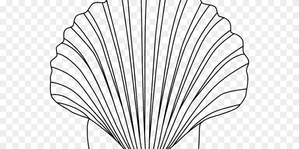 Shell Clipart Small Shell Seashell Clipart Black And White, Animal, Clam, Food, Invertebrate Png