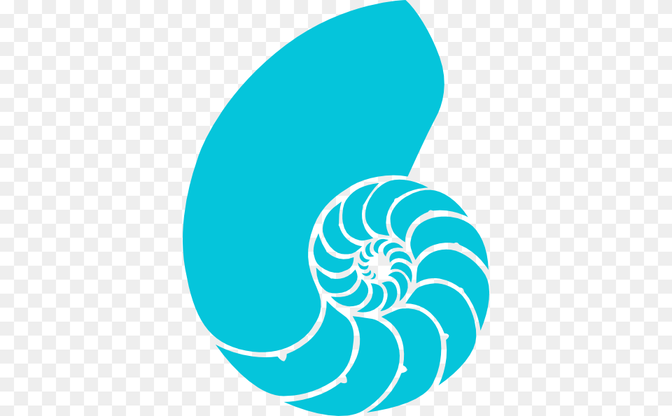 Shell Clipart Turquoise, Animal, Invertebrate, Sea Life, Seashell Png
