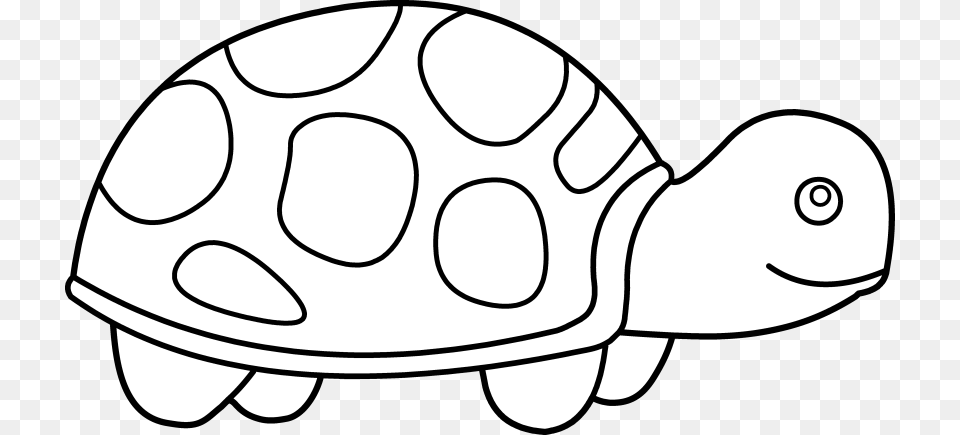 Shell Clipart Turtle, Animal, Reptile, Sea Life, Tortoise Png Image