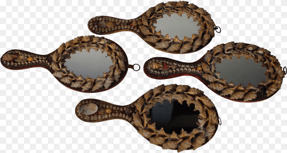 Shell Hand Mirrors Spoon, Animal, Dinosaur, Reptile, Cutlery Png Image