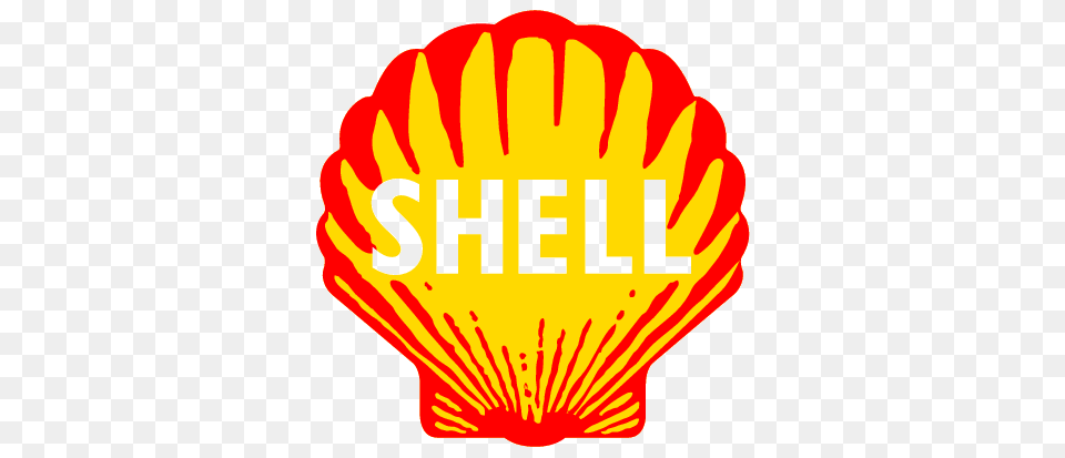 Shell Logos Logo Gratuit, Animal, Clam, Food, Invertebrate Free Png
