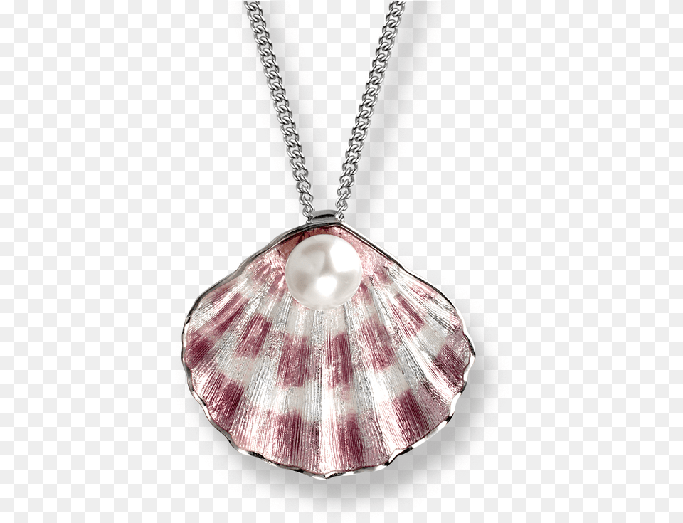 Shell Necklace Background Hd Pendant Enamel With Pearl, Accessories, Seafood, Sea Life, Seashell Free Transparent Png