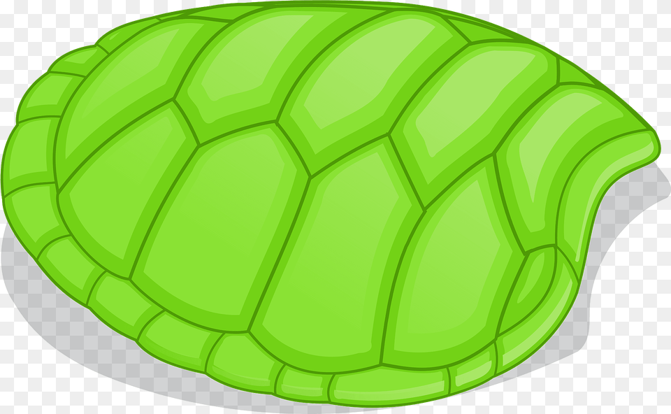 Shell Of Green Turtle Clipart, Plant, Leaf, Ammunition, Grenade Free Png
