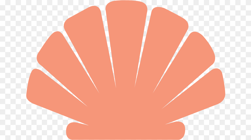 Shell Only Illustration, Body Part, Hand, Person, Animal Free Png Download