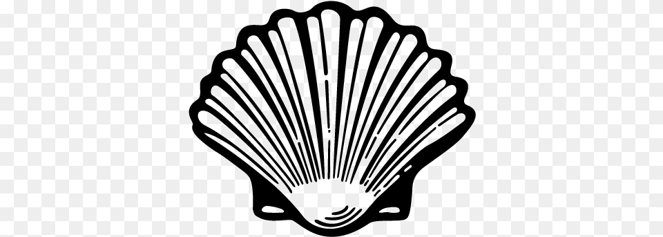 Shell Oyster Shell Clip Art, Animal, Clam, Food, Invertebrate Png
