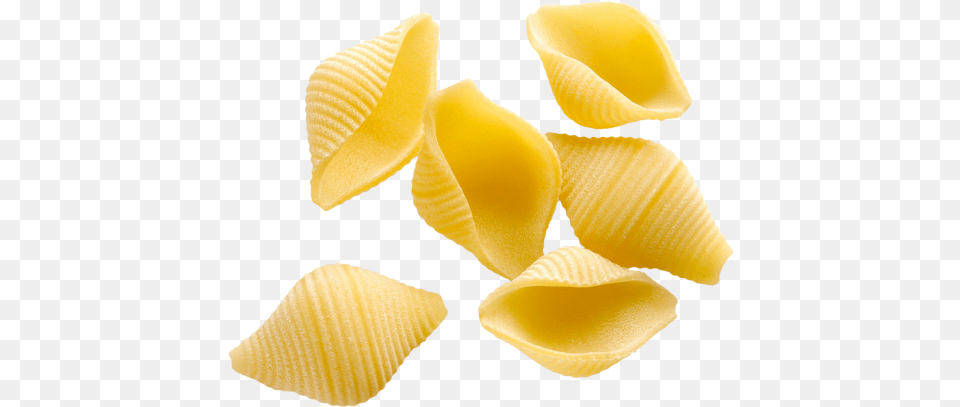 Shell Pasta, Food, Macaroni Free Png