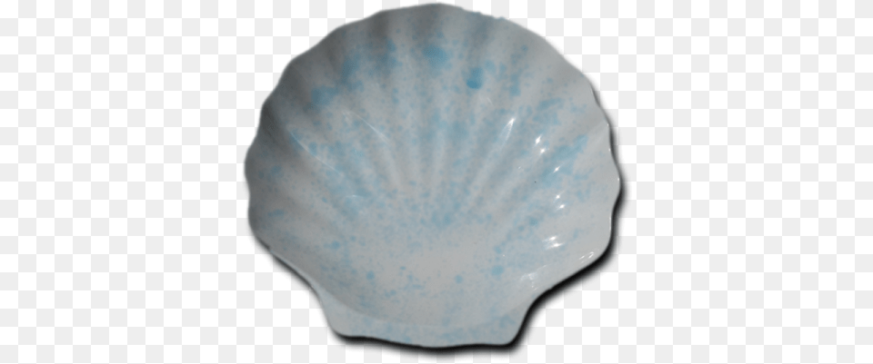 Shell Platter Blue Shell, Animal, Clam, Food, Invertebrate Png