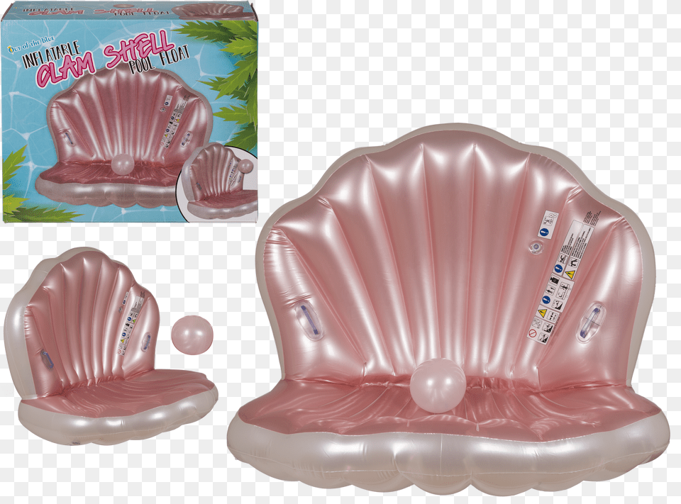 Shell Pool Float Png Image