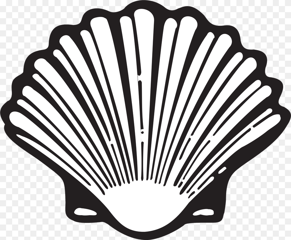 Shell Shell Logo Evolution, Animal, Clam, Food, Invertebrate Png