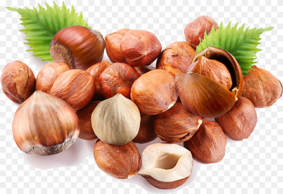 Shelled Hazelnut Download Hazelnut, Food, Produce, Nut, Plant Free Transparent Png