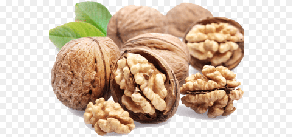 Shelled Walnut, Food, Nut, Plant, Produce Free Png Download