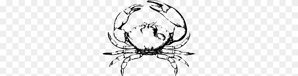 Shellfish Cliparts Png