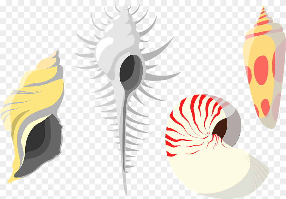 Shellfish Shells Clipart, Animal, Invertebrate, Sea Life, Seashell Png