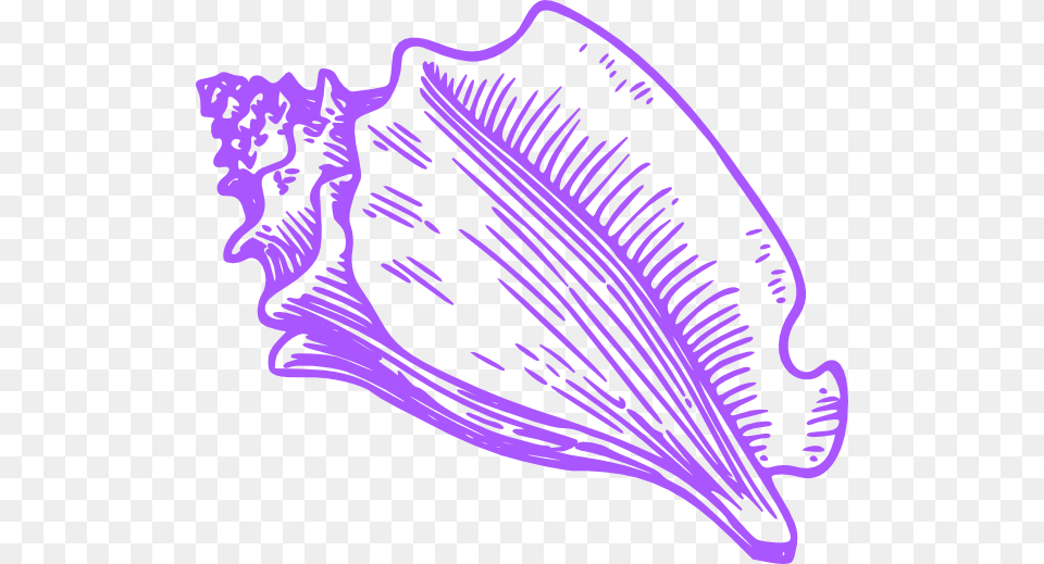 Shells Clipart Purple Clipart Conch Shell Cartoon Art, Animal, Invertebrate, Sea Life, Seashell Png Image