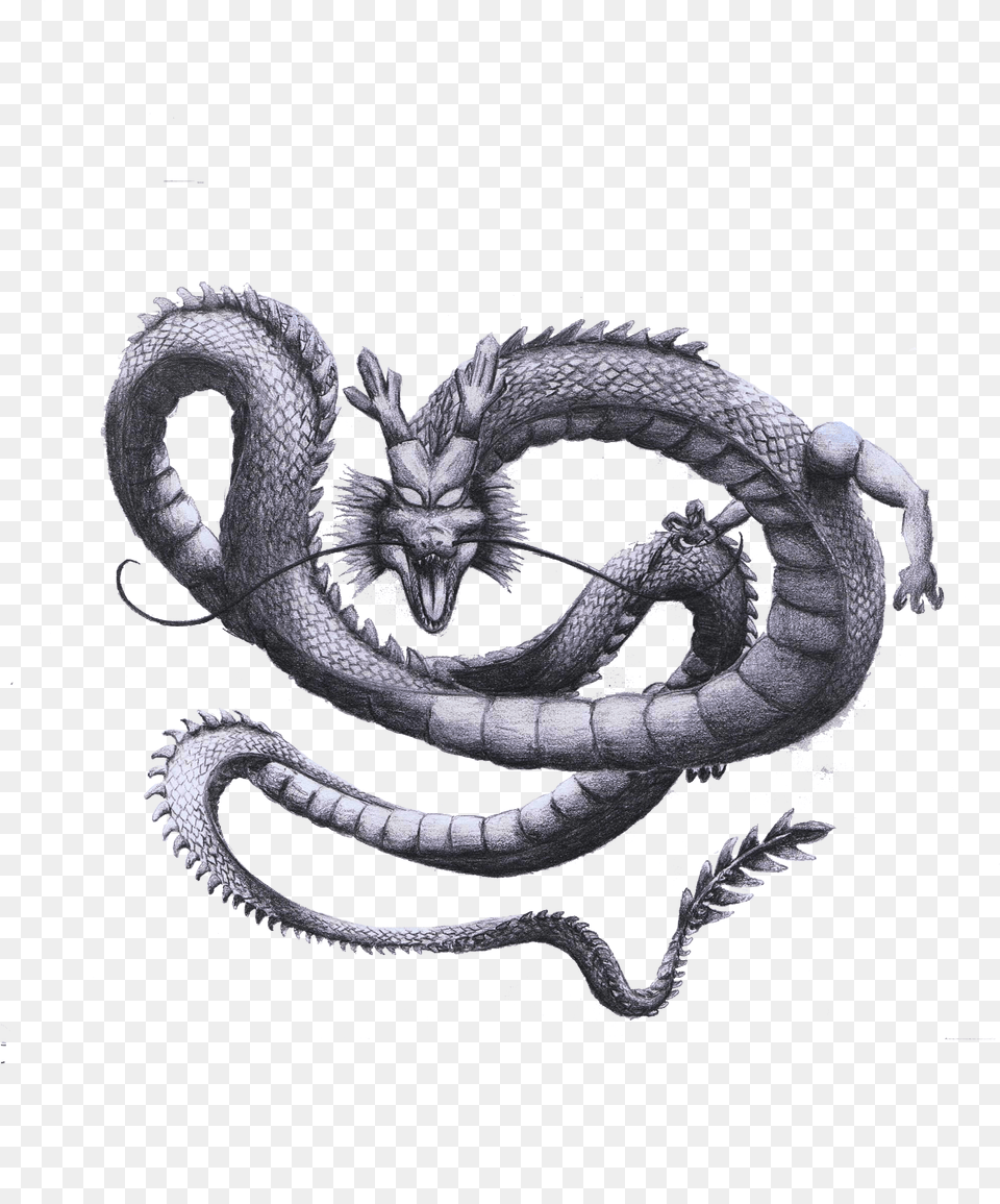 Shenron Transparent Drawing Serpent, Dragon, Animal, Lizard, Reptile Png Image