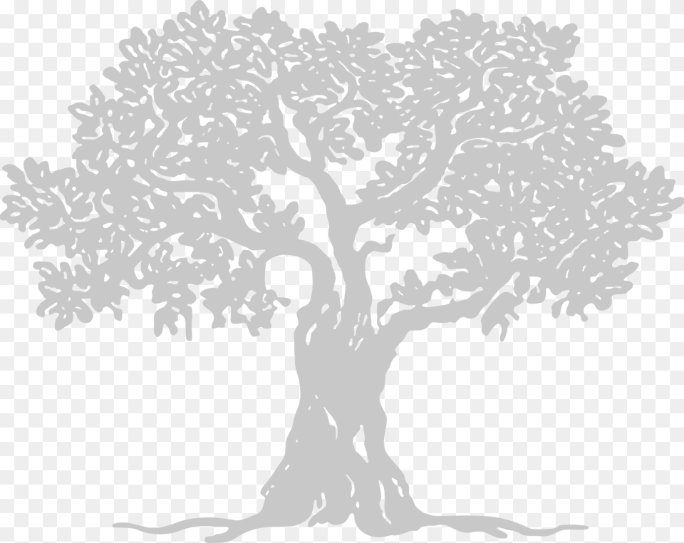 Shepherd Care Ministries, Art, Drawing, Plant, Tree Free Png