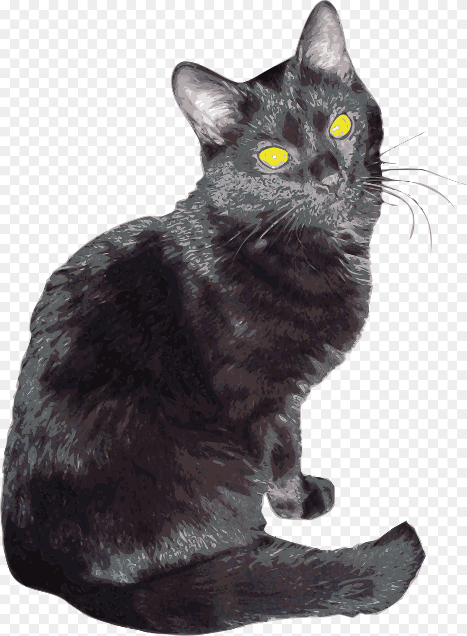 Sherlock Clip Arts American Shorthair, Animal, Cat, Mammal, Pet Free Png Download