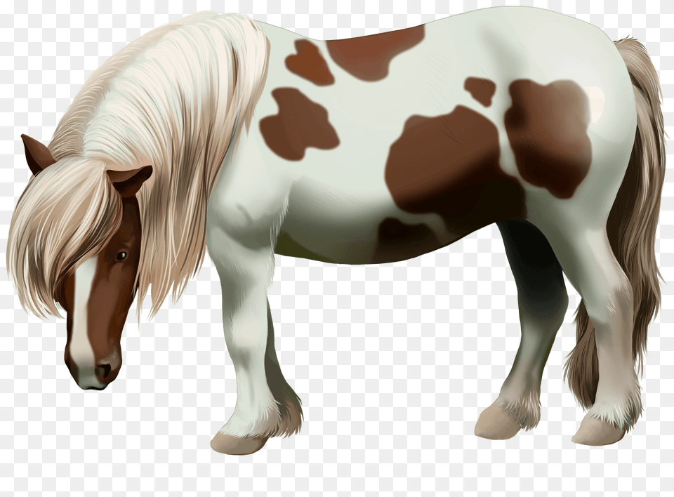 Shetland Pony Clipart, Animal, Colt Horse, Horse, Mammal Free Transparent Png