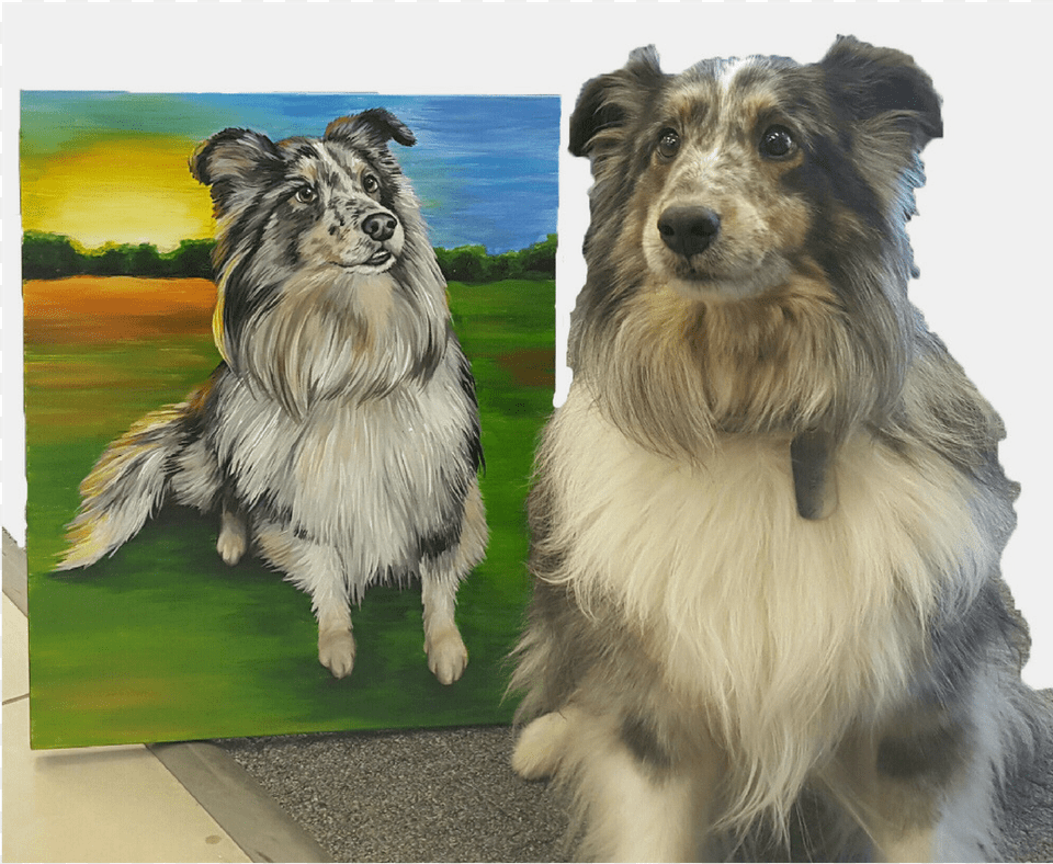 Shetland Sheepdog, Art, Painting, Animal, Modern Art Png Image