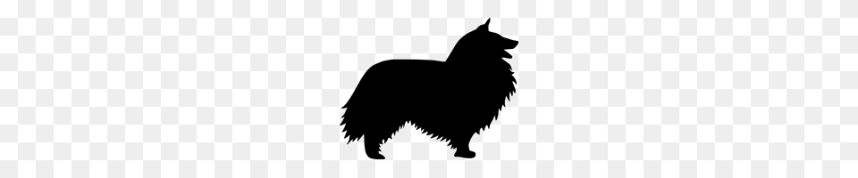 Shetland Sheepdog Vinyl Shetland Sheepdog Sheltie, Blackboard Free Transparent Png