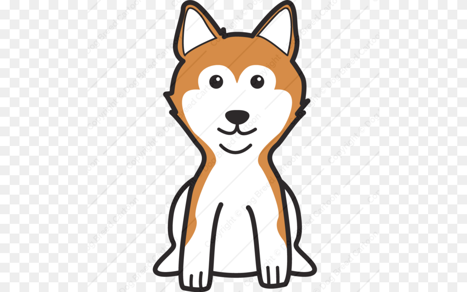 Shiba Inu, Animal, Canine, Dog, Husky Free Transparent Png